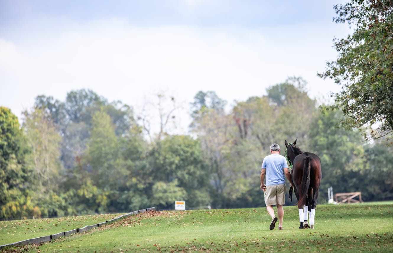 Featured image for “How to Place a Retiring Thoroughbred”