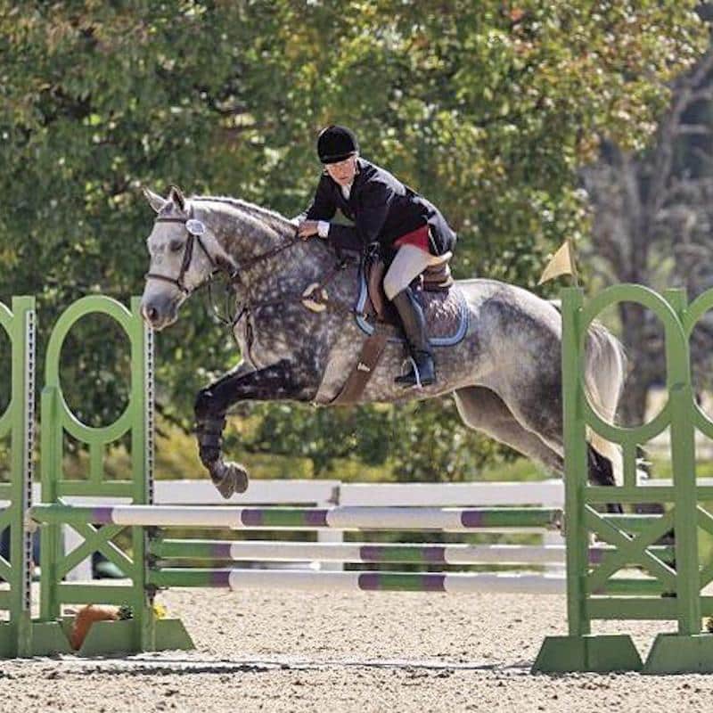 Featured image for “Running in Different Circles: Field Hunters Win at Racehorse Makeover”