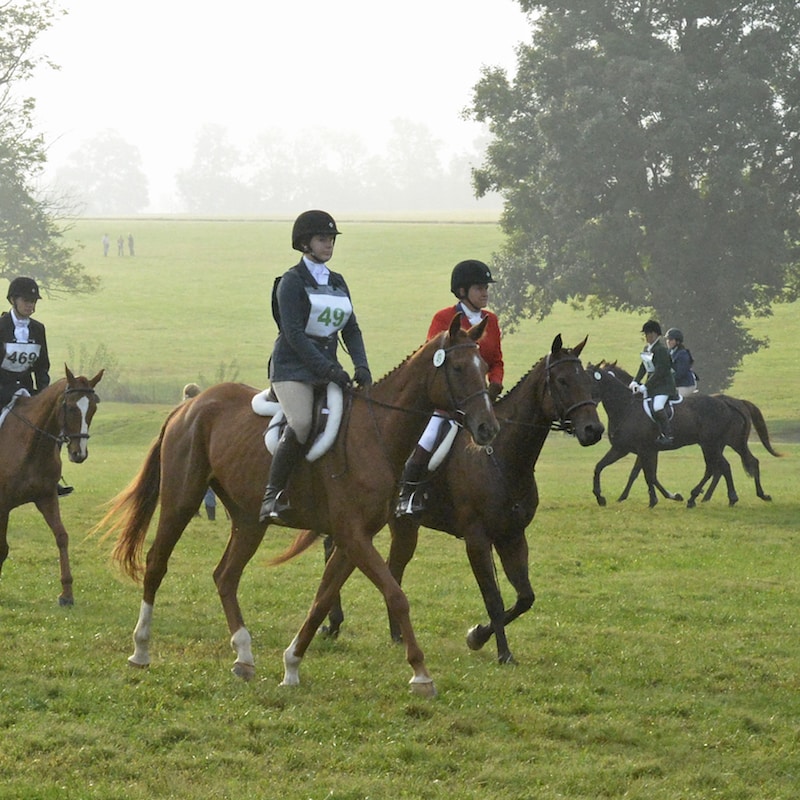 Thoroughbred Makeover Features Diverse Skills