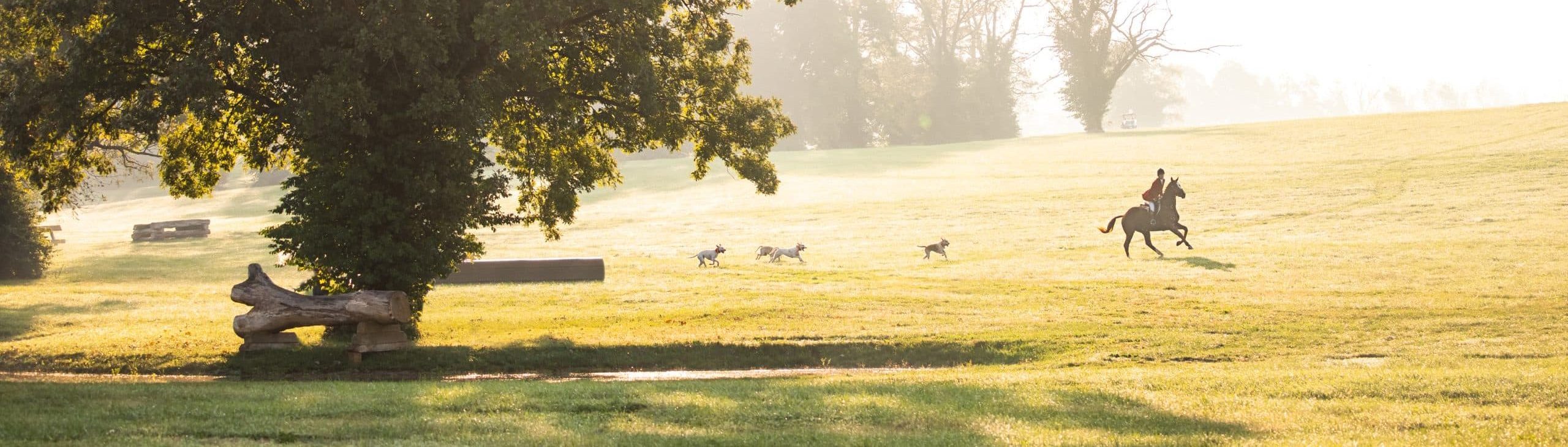 Header Image Background