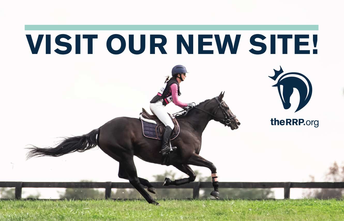 Featured image for “Retired Racehorse Project Unveils New Website”
