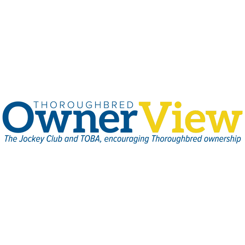 Featured image for “OwnerView”