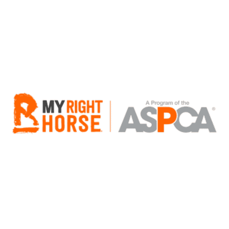 Featured image for “ASPCA’s Right Horse Initiative”