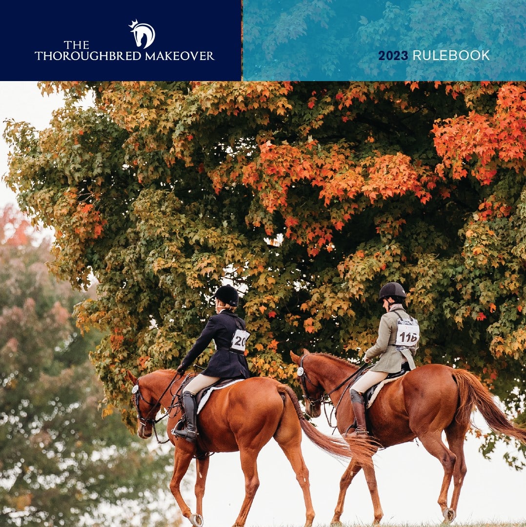 Featured image for “Thoroughbred Makeover Rulebook”