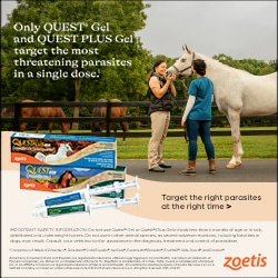 Sponsored Ad