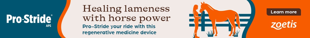 Sponsored Ad