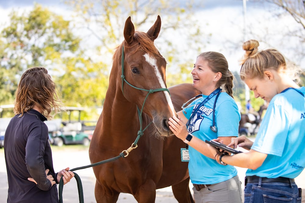 Featured image for “Enter Our “Good Vibes Only” Contest with Equine Relax Trax!”