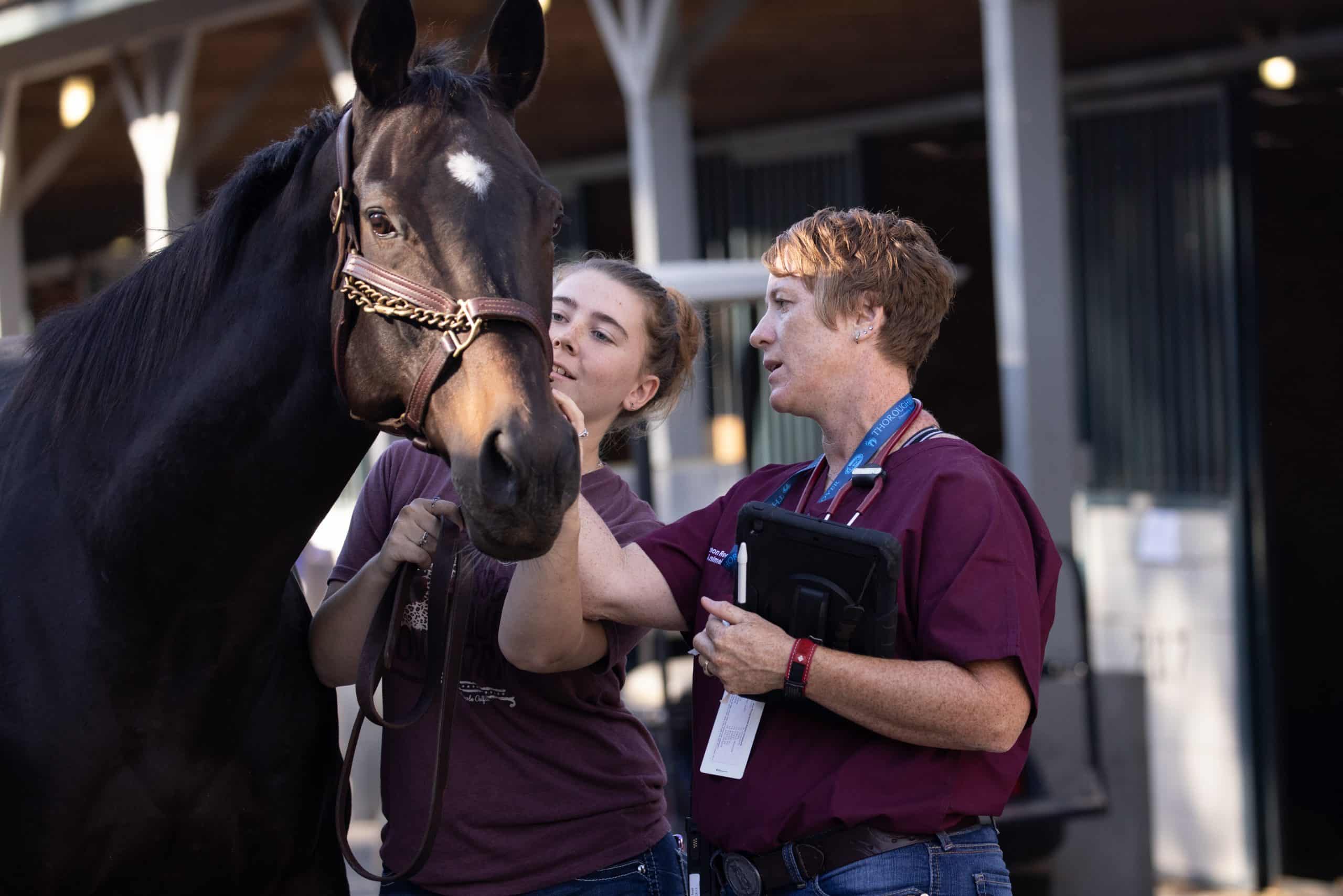 Featured image for “Fourth Annual Thoroughbred Aftercare Summit to Take Place at Thoroughbred Makeover”