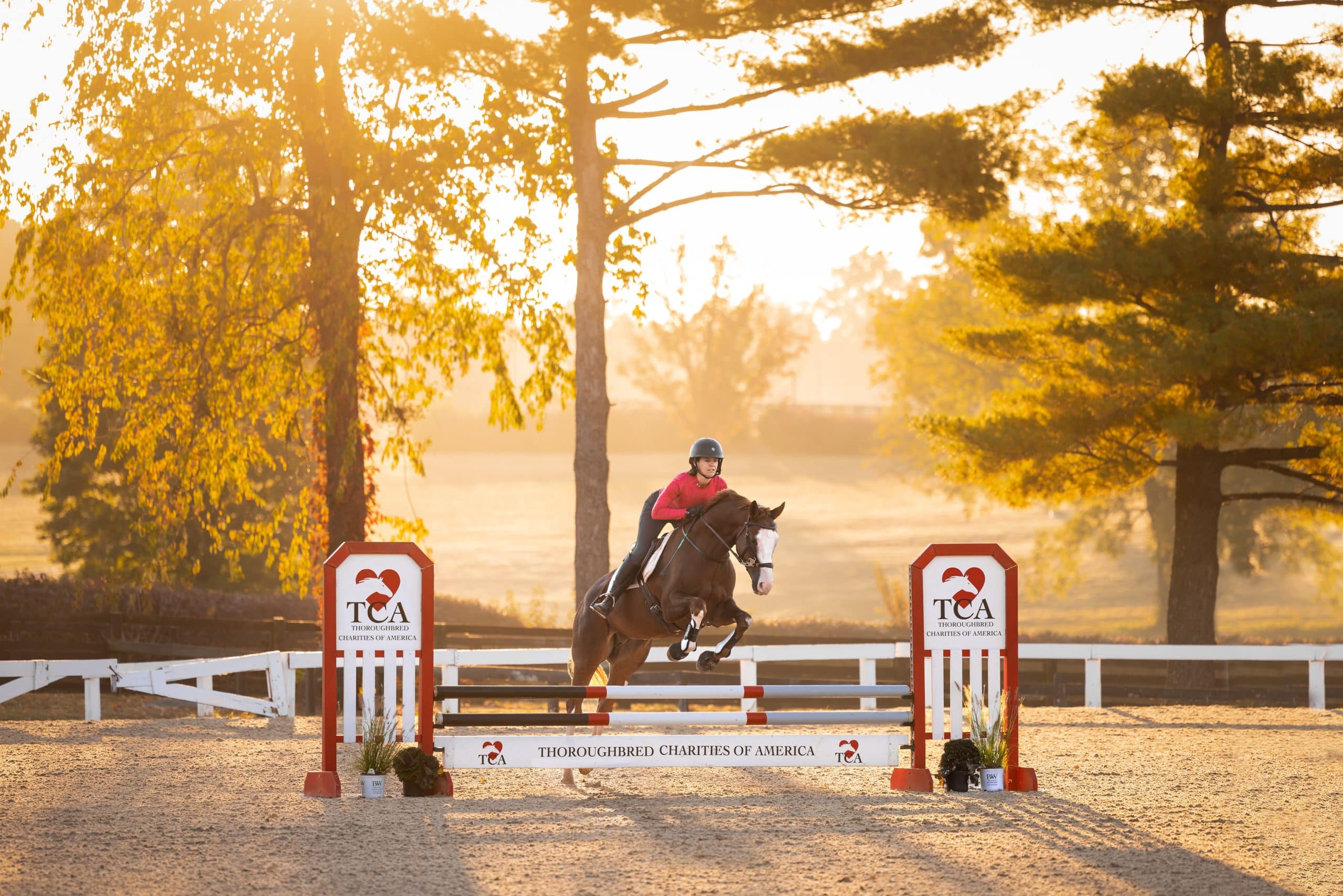 Featured image for “Thoroughbred Charities of America Returns as Title Sponsor of Thoroughbred Makeover and National Symposium”