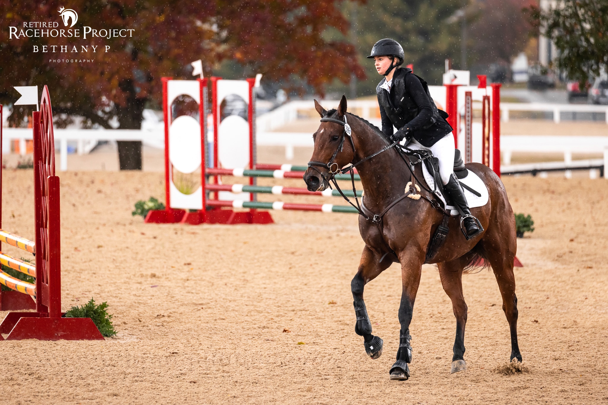 Featured image for “Day One In the Books at the 2022 #TBMakeover”