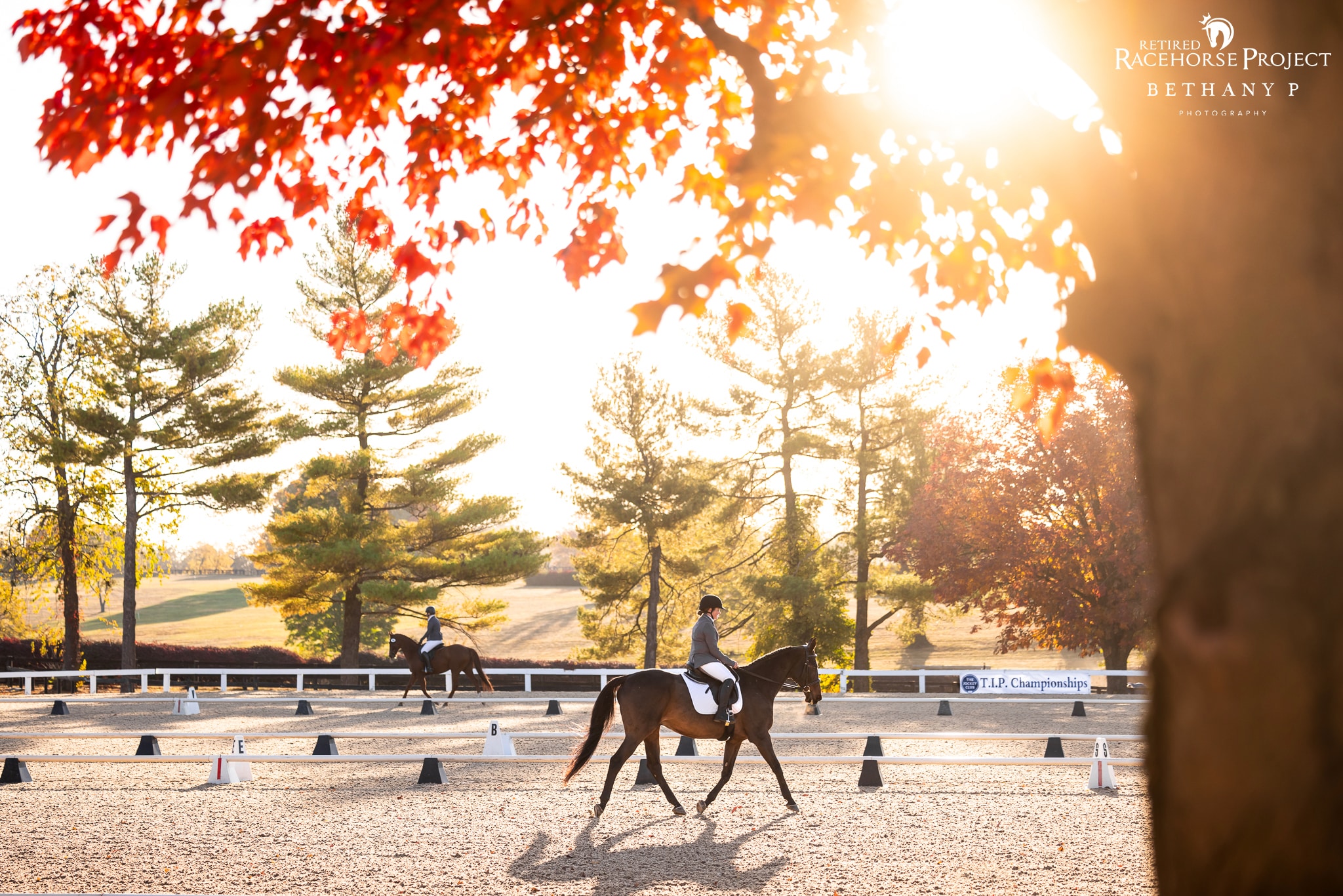 Featured image for “Education & Competition Continue at Thoroughbred Makeover & T.I.P. Championships”