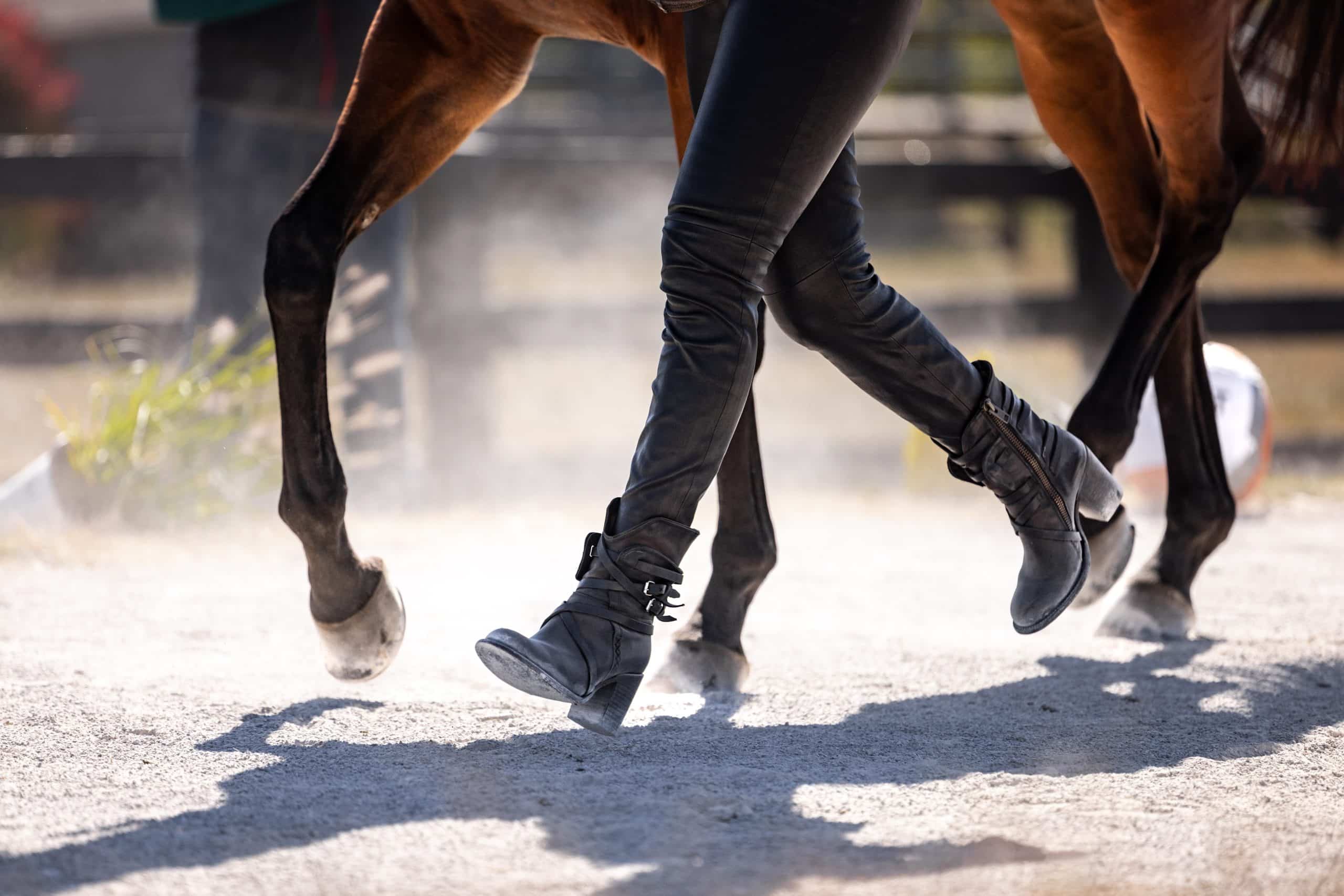 Featured image for “RRP’s First Footing Silent Auction, Sponsored by OCD Pellets, Features Racing Star Shoes & Boots”