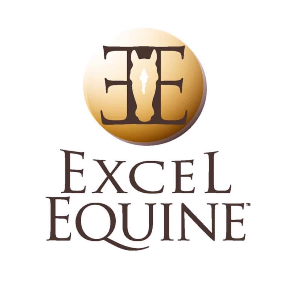 Featured image for “Excel Equine”