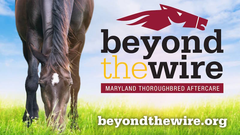 Featured image for “Beyond the Wire”