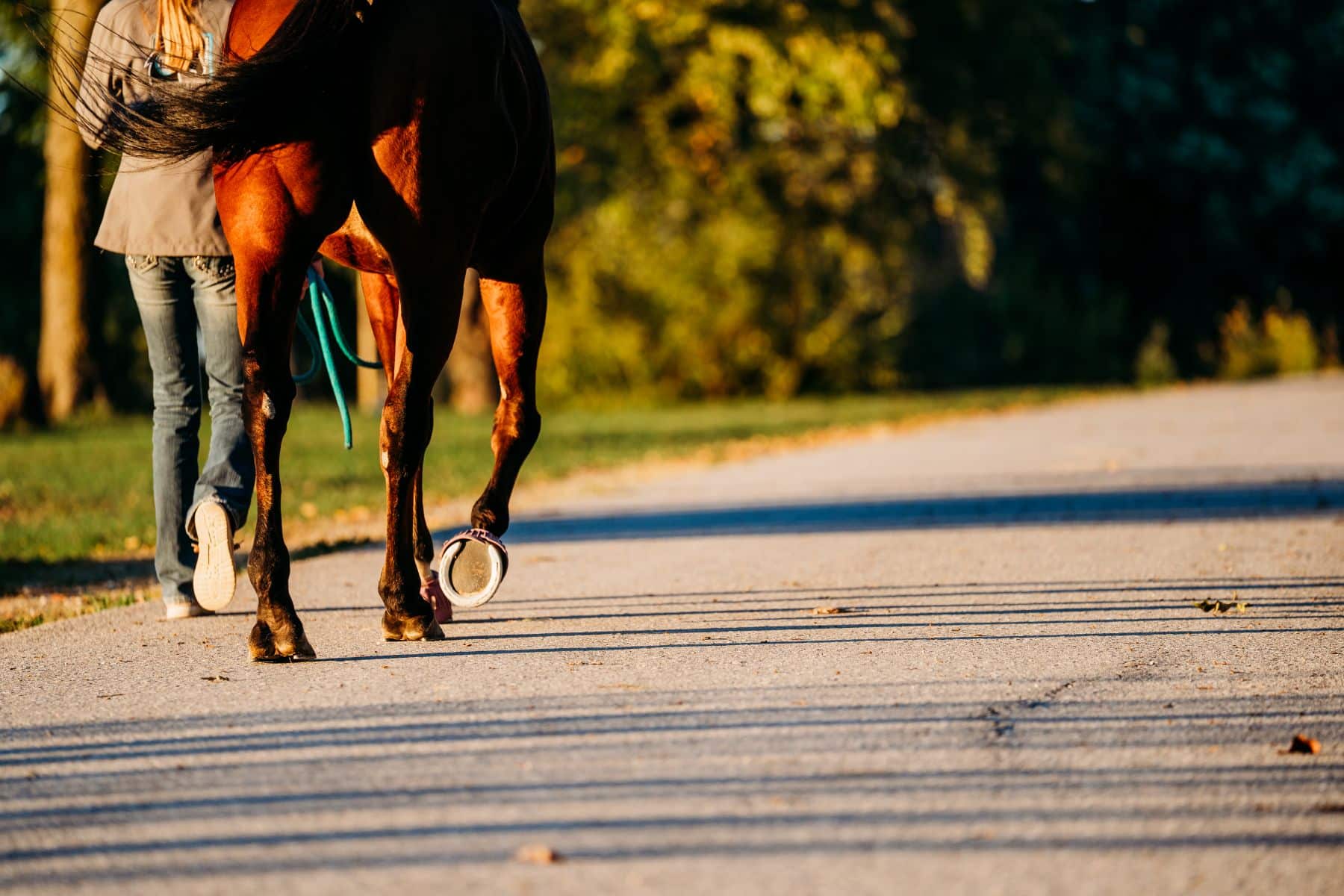 Featured image for “Diagnosing Soft Tissue Injuries”