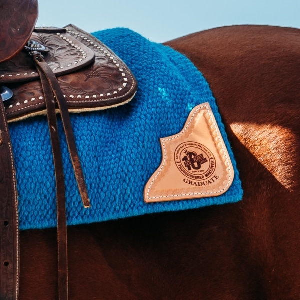 Featured image for “Anniversary Grad Pad (Western)”