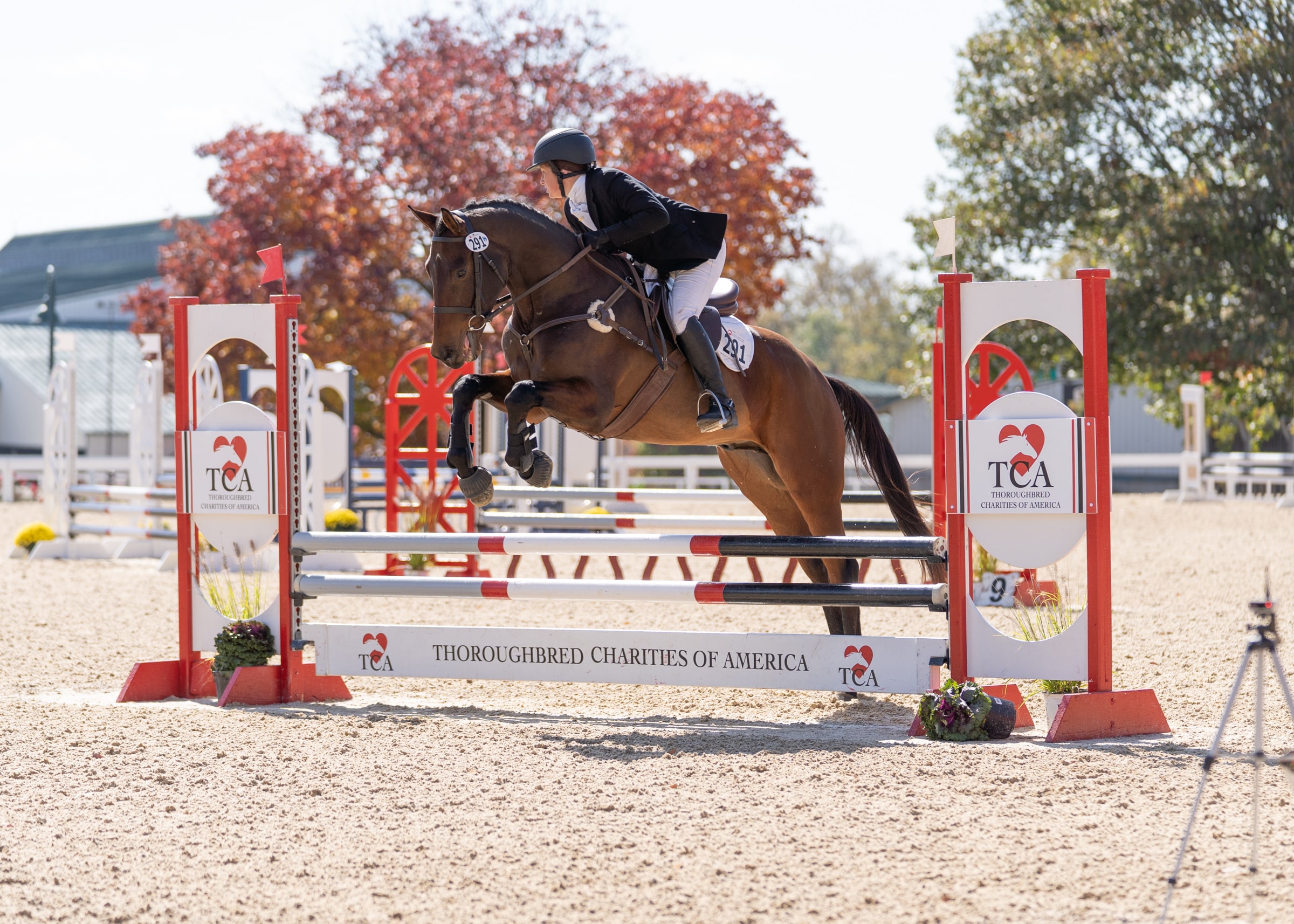 Featured image for “2022 Thoroughbred Makeover & National Symposium Showcases Thoroughbreds in Second Careers”