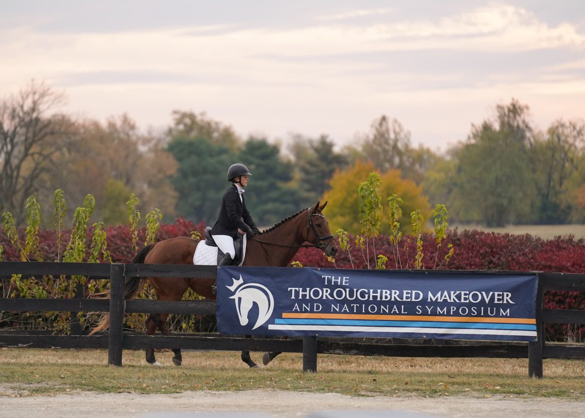 Featured image for “Retired Racehorse Project Announces 2023 Thoroughbred Makeover Dates, Fee Changes”