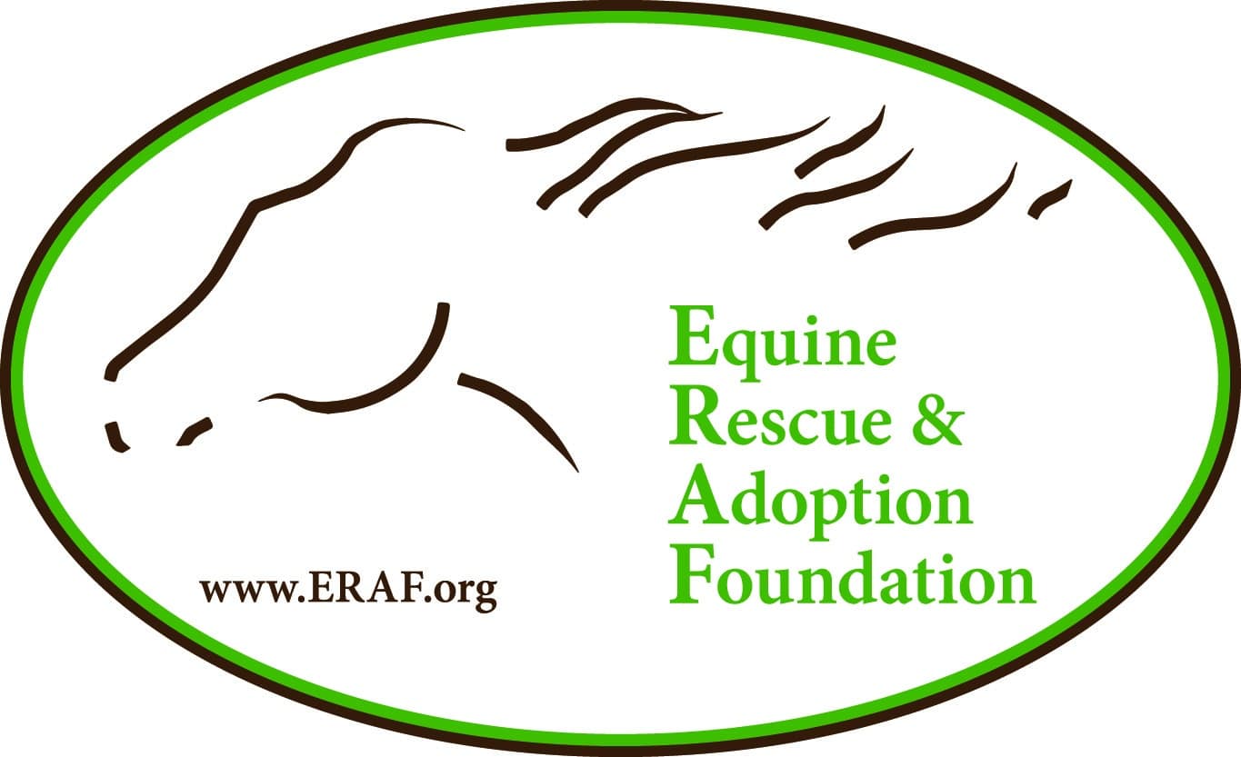 Equine Rescue & Adoption Foundation