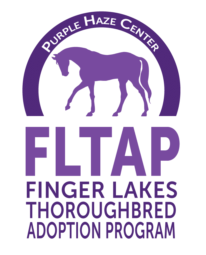 Finger Lakes Thoroughbred Adoption Program
