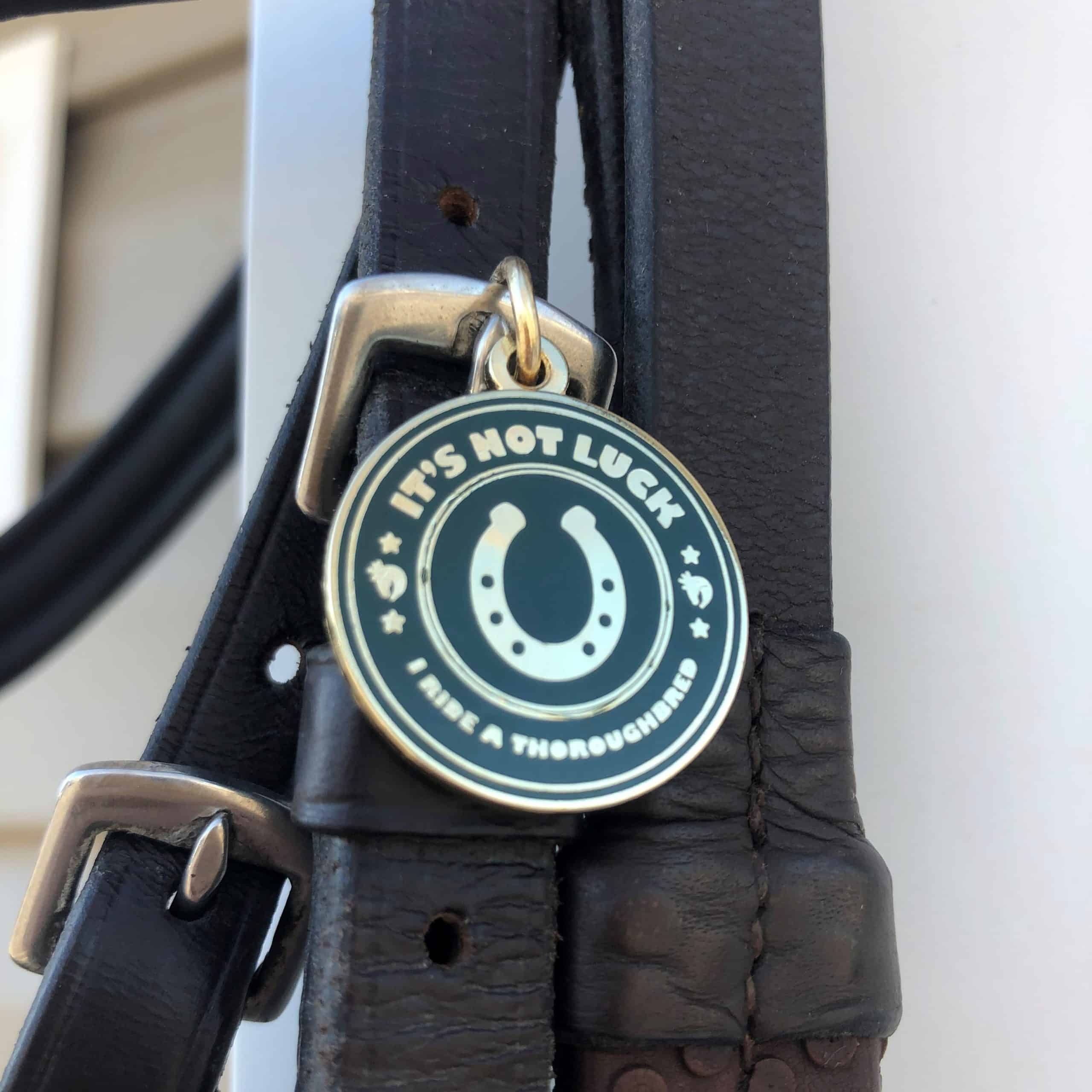 Featured image for “It's Not Luck Bridle Charm”