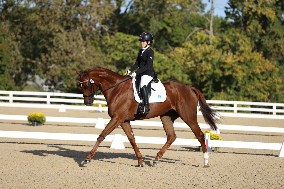 Featured image for “Ask a Trainer: Introducing Lateral Work”