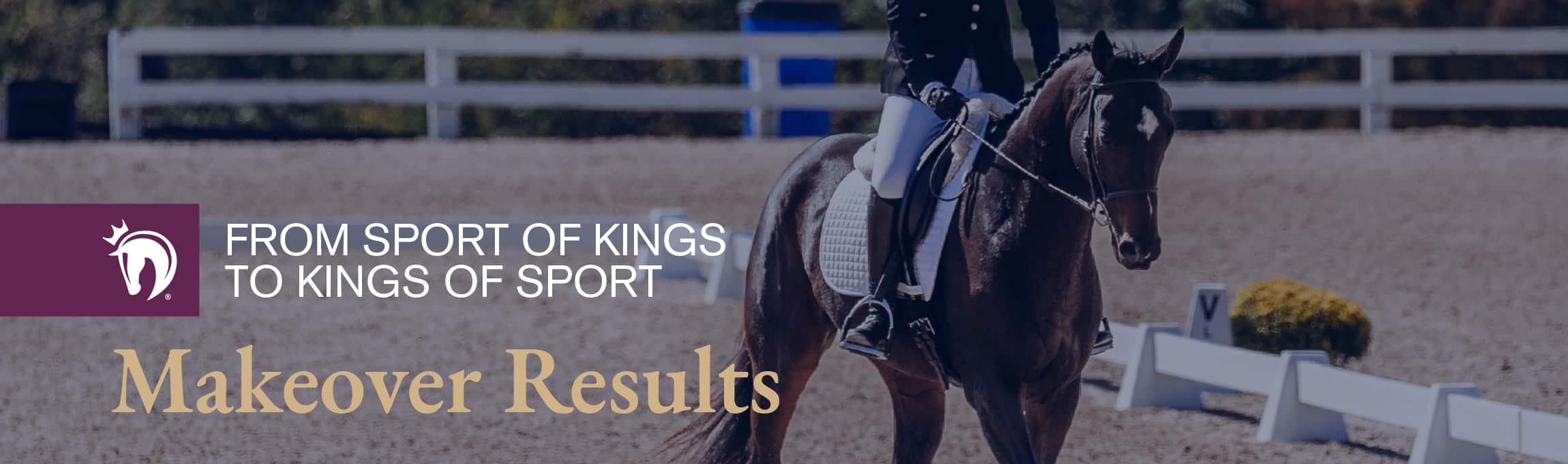 Thoroughbred Makeover Results