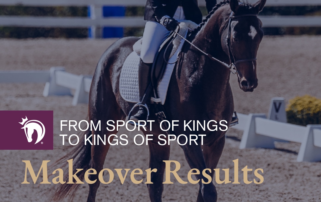 Thoroughbred Makeover Results