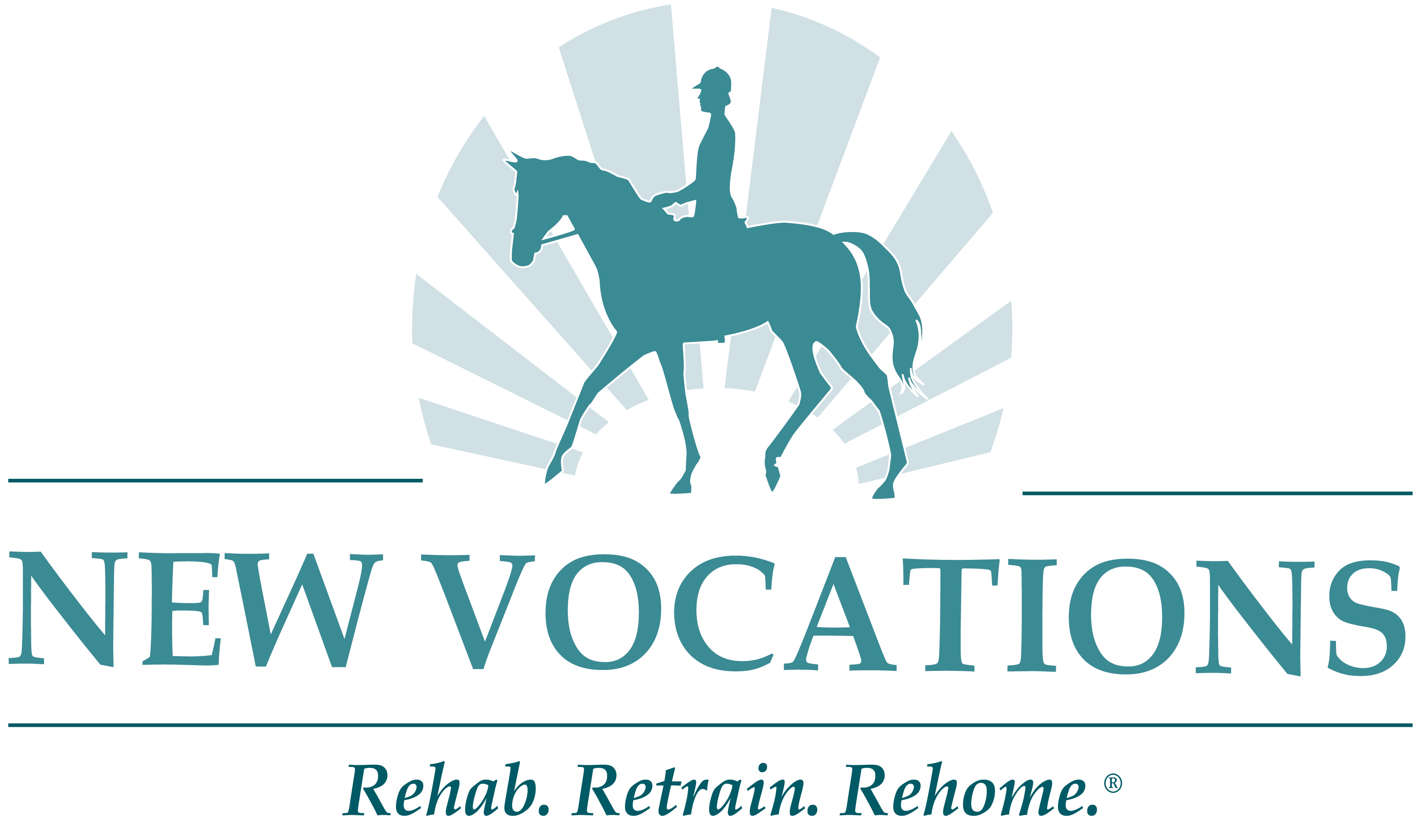 Featured image for “New Vocations Racehorse Adoption Program”