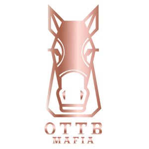 Featured image for “OTTB Mafia”