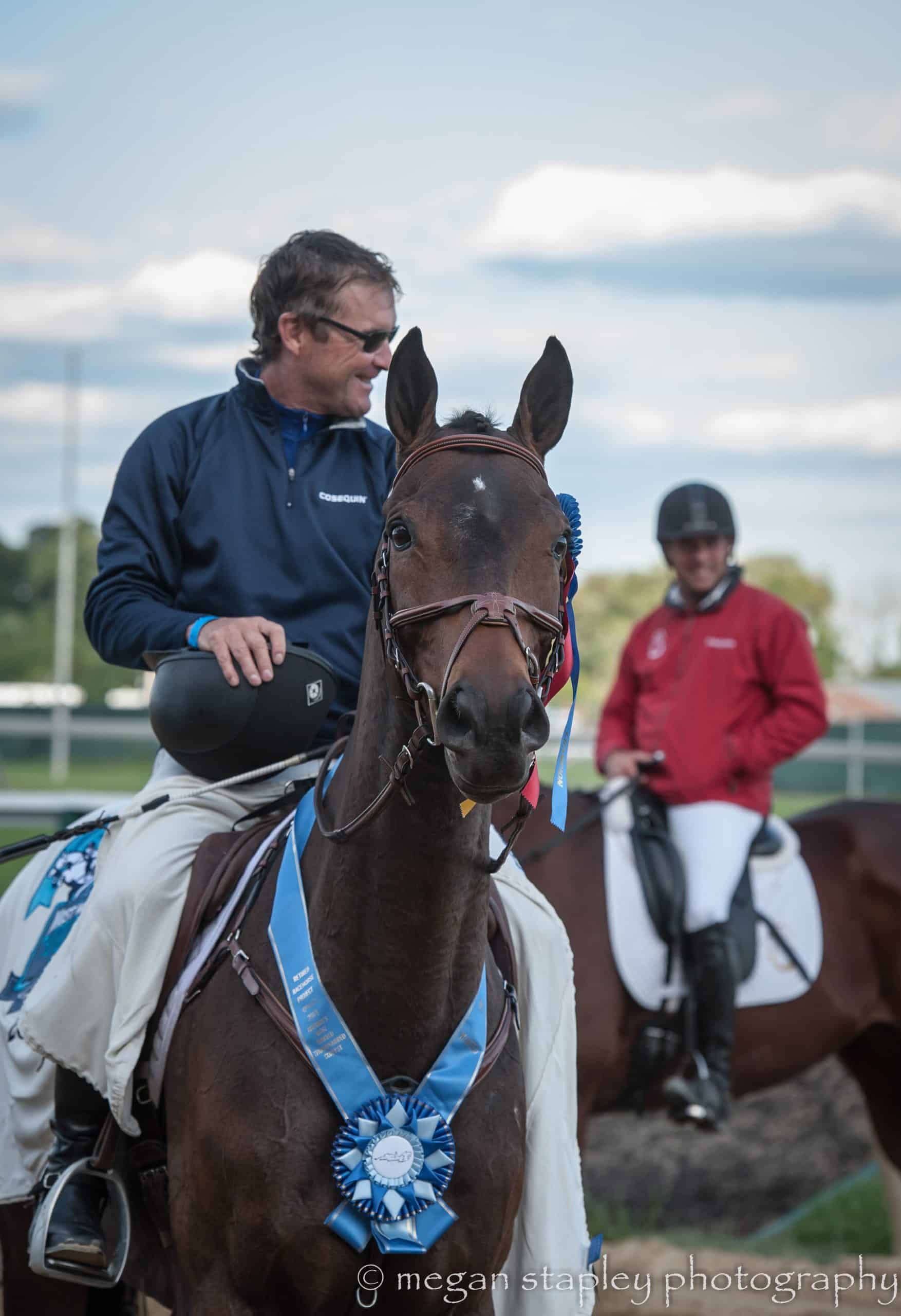 Featured image for “Tip of the Iceberg: After 15 Years, Retired Racehorse Project Looks Ahead”