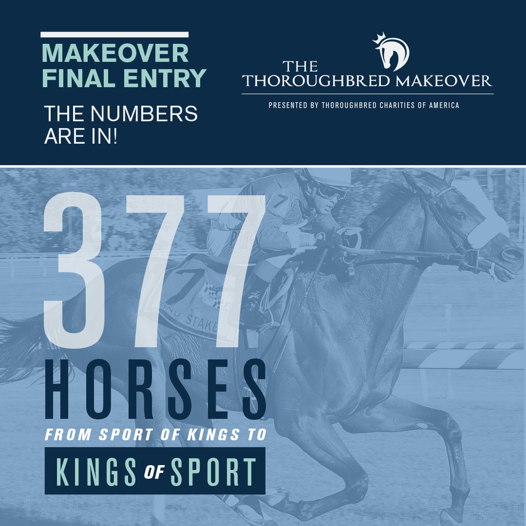 Featured image for “Meet the Horses of the 2022 Thoroughbred Makeover”