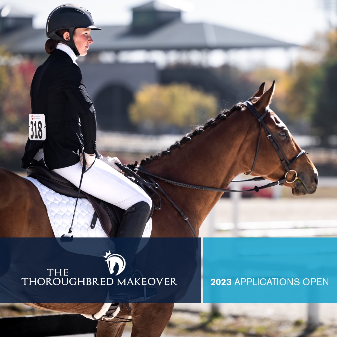 Featured image for “2023 Thoroughbred Makeover Applications Now Open for Submission”