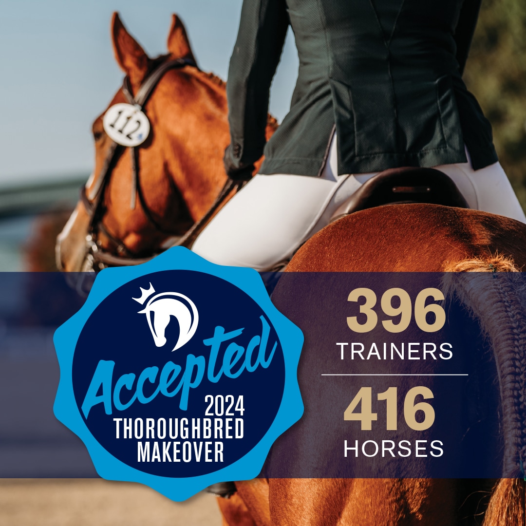 Featured image for “396 Trainers Accepted to 2024 Thoroughbred Makeover”