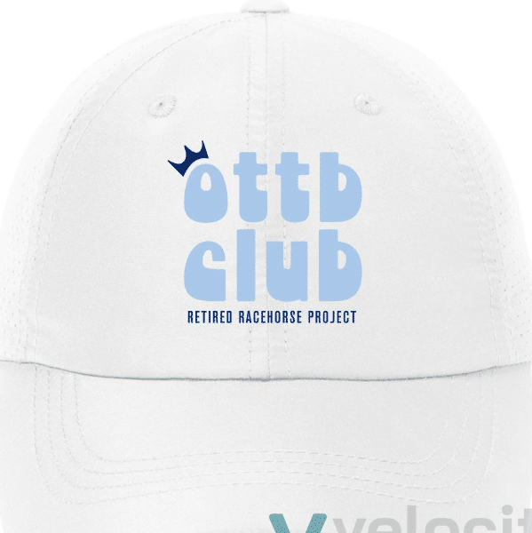 Featured image for “OTTB Club Hat”