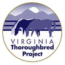Featured image for “Virginia Thoroughbred Project”