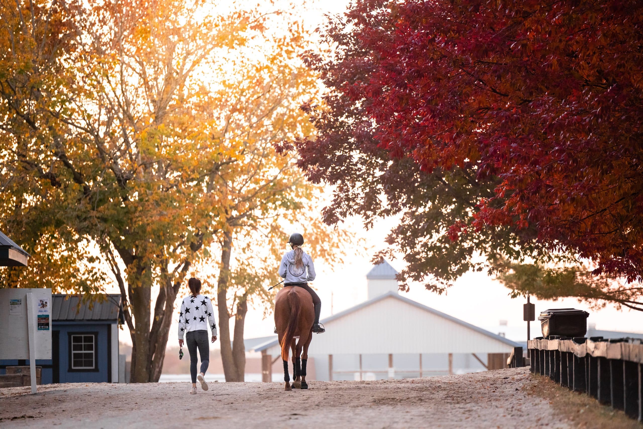 Featured image for “Claiborne Farm to Sponsor Former Broodmare Pilot Division at 2023 Thoroughbred Makeover”