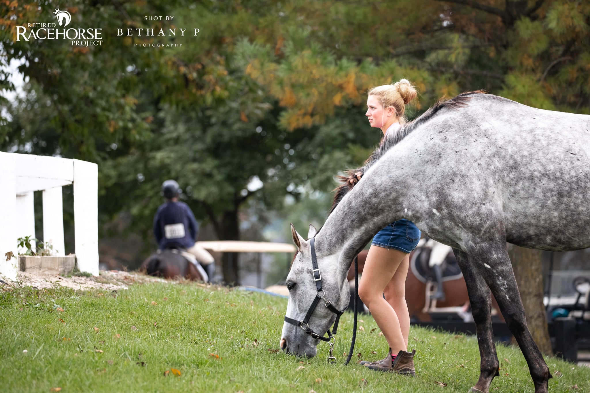 Featured image for “Webinar: Update on Gastric Disease in Horses”