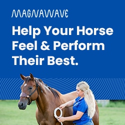 Sponsored Ad