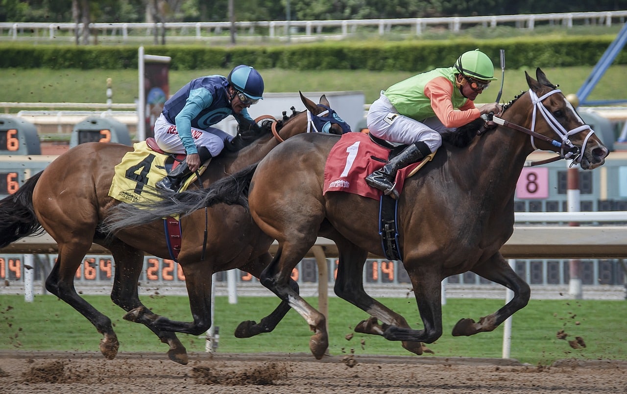 Featured image for “Webinar: Researching Your OTTB (2021)”